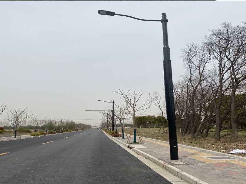 景谷傣族彝族自治县上海综合杆 太阳能路灯工程